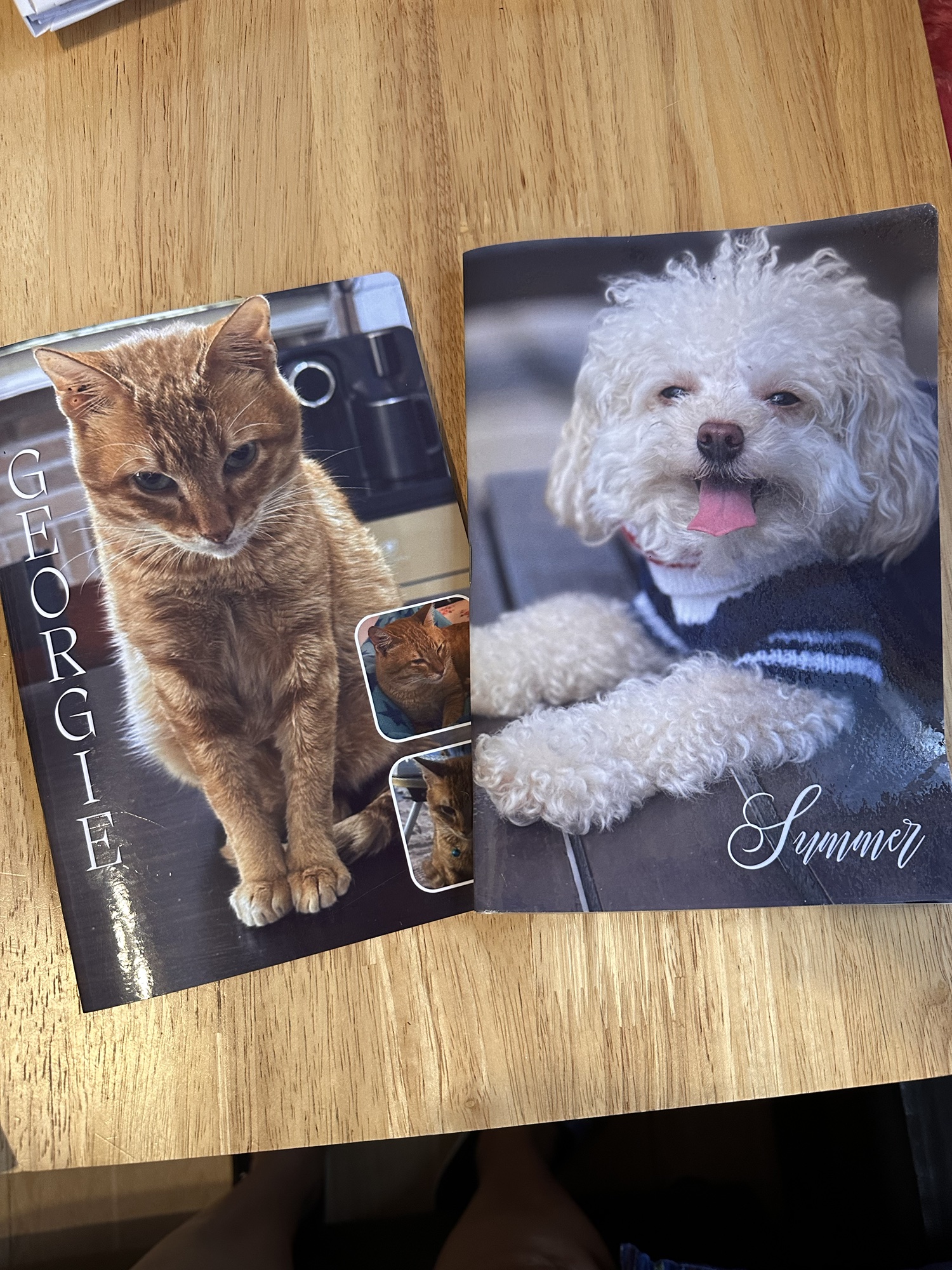 Two finished HEARTPRINTS pet-themed Photo Zines featuring Georgie the cat and Summer the dog